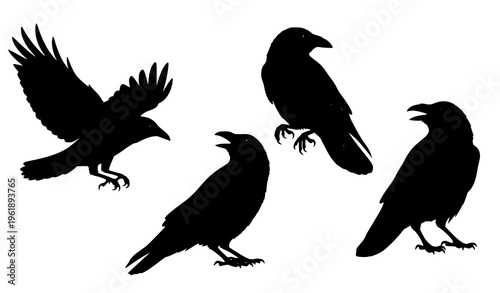 Four black silhouettes of crows in different poses on a white background