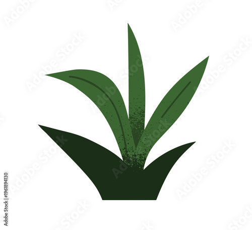 Green leaf plant. Fresh tropical nature decoration. Leaves, exotic greenery, ...