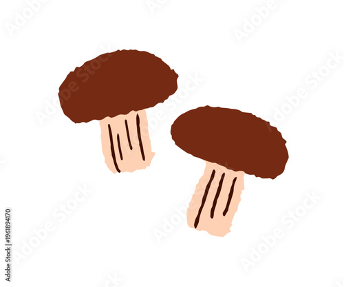 Mushrooms, natural fall forest food. Abstract fungi, autumn harvest, nutrition. Healthy fungus. Edible fresh seasonal ingredient. Flat vector illustration isolated on white background