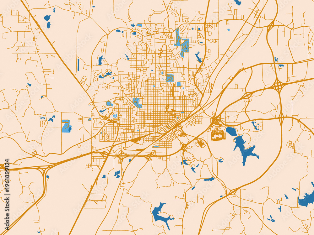 Fototapeta premium City street layout of Meridian, Mississippi