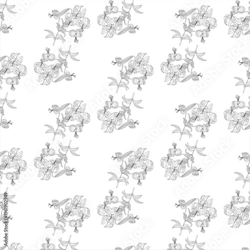 Ornament Lilium superbum rare plant with blooming flowers, seeds in them, leaves growing on the trunk, detailed pattern for application to various types of surfaces