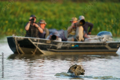 Photography Pantanal Safari to see Jaguars