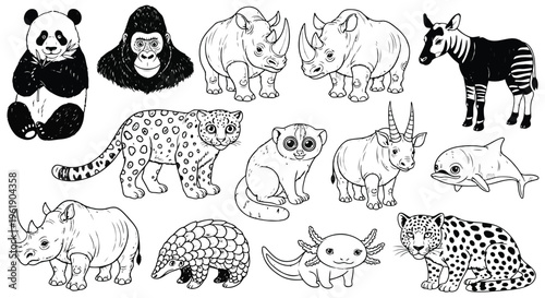 Rare animal species collection line art including panda gorilla rhino zebra leopard pangolin and axolotl.