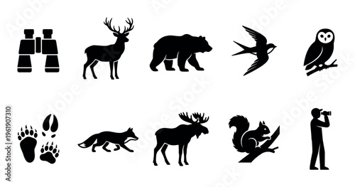 A collection of black silhouette icons depicts various wildlife animals, binoculars, and paw prints against a white background, ideal for nature and outdoor themes.