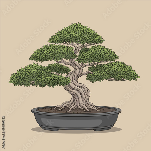 A beautifully detailed illustration of a traditional bonsai tree with a thick, twisted trunk and lush green foliage in a dark pot.