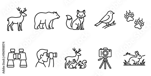 A clean black and white vector illustration set featuring various wild animals and tools for observing and photographing them, ideal for nature and conservation themes.