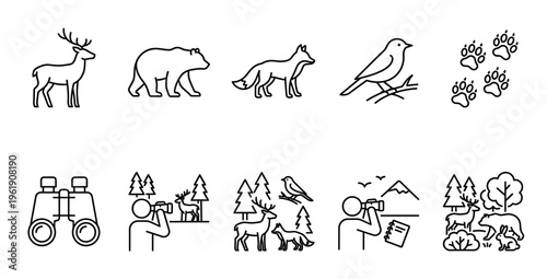 A collection of clean, outline-style icons depicting wildlife, nature elements, and outdoor activities like photography and hiking, perfect for digital or print use.
