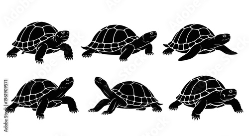 Six Black Tortoises Silhouette Walking on White Background, Top View