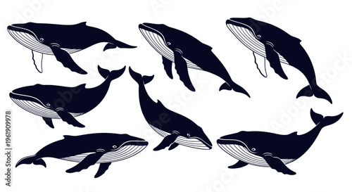 Whale Silhouette Collection: Majestic Marine Mammals in Various Poses