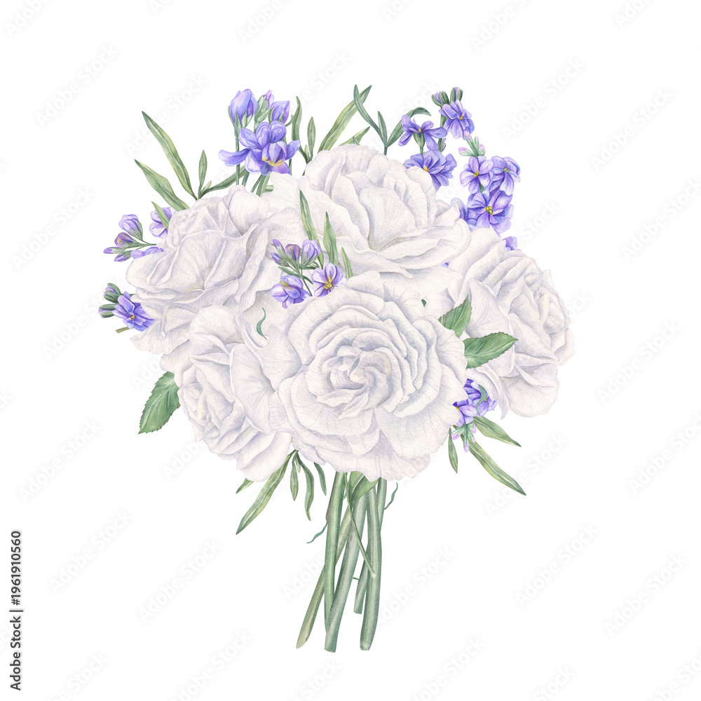 Fototapeta premium White rose decorated blue Matthiola watercolor illustration on isolated background. Garden blooming flowers with foliage bouquet. Floral composition for wedding invitation, romantic decor.