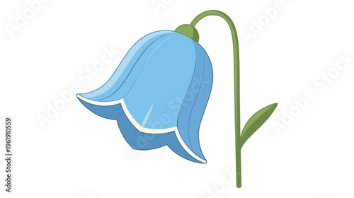 Blue bellflower with stem and leaf bell-shaped bloom