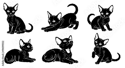 Set of Six Black Sphynx Kittens Poses, Vector Illustration