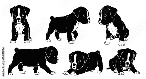 Set of Six Boxer Puppy Silhouettes in Various Poses on White Background