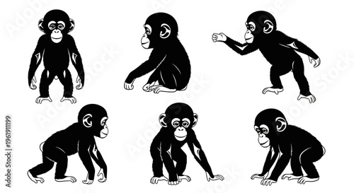Set of six chimpanzee illustrations in various poses, black and white vector art.