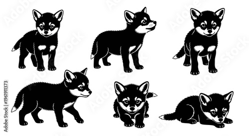 Set of Six Shiba Inu Puppies Poses, Black and White Vector Illustrations