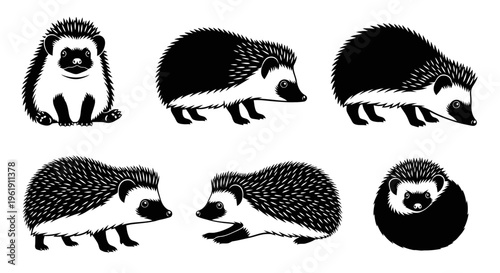 Set of Six Stylized Black and White Hedgehog Illustrations in Various Poses