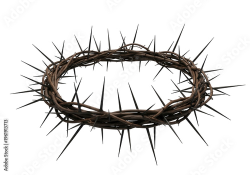 Crown of thorns isolated on white background, symbol of suffering and faith