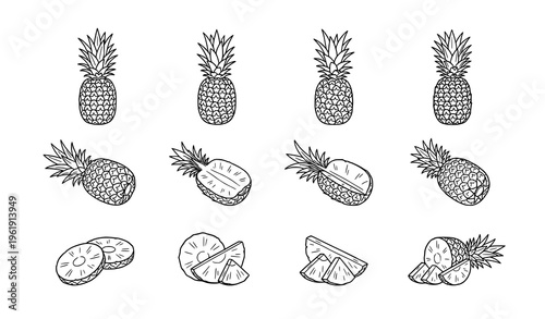 Pineapple fruit line art set with whole half-peeled and sliced sketches minimal black and white vector for coloring book