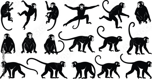 Monkey silhouette collection, animal outline figure, wildlife motif illustration, jungle icon art, primate design graphic, dynamic posture symbol image