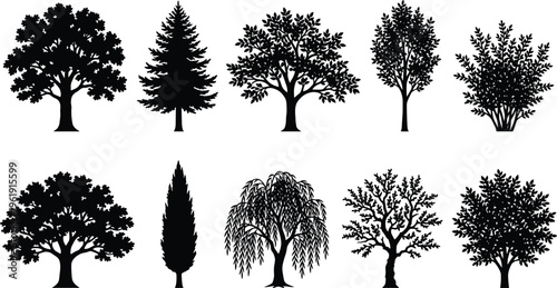 Tree silhouette set, diverse species icons including conifer, deciduous, willow, and broadleaf forms, botanical landscape theme - flat vector illustration