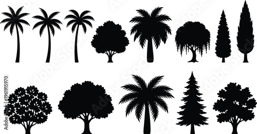 Tree silhouette set, diverse species icons including palm, conifer, deciduous, willow, and broadleaf forms, botanical landscape theme - flat vector illustration