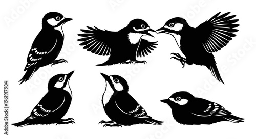 Woodpecker Bird Silhouettes Collection: Isolated Black and White Vector Graphics