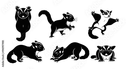 Set of Sugar Glider Silhouettes in Various Poses, Black and White Vector Illustrations