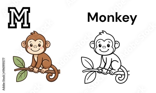 Photography M for Monkey