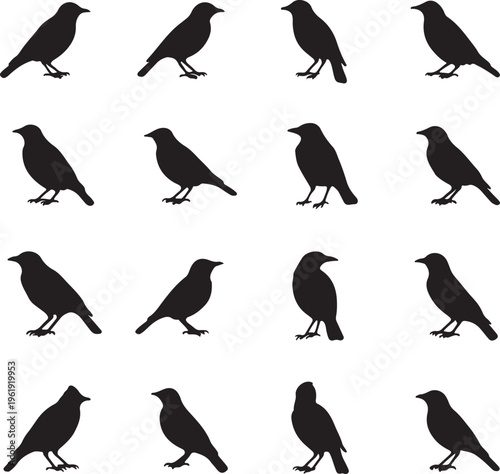 Collection of black bird silhouettes in various poses and orientations