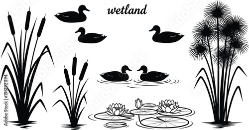 Wetland ecosystem illustration, ducks, cattails, water lilies, reeds, and aquatic plants in natural habitat scene with biodiversity - flat vector illustration