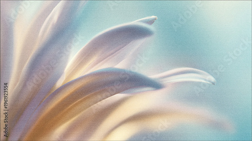 Tablou pe pânză Soft blurred Y2K peach flower vintage background