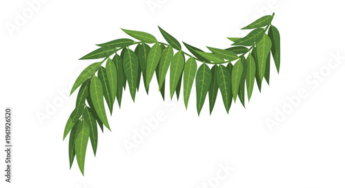 A lush green leafy branch with pointed leaves, predominantly green in color, against a clean white background, symbolizing Tamil New Year festivities.