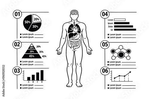 Medical infographic showing human body anatomy with various statistical data charts and diagrams Vector