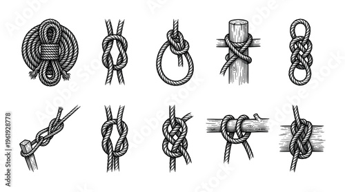 Collection of vintage style illustrations depicting various nautical and functional rope knots, showcasing their unique designs and applications against a clean background.
