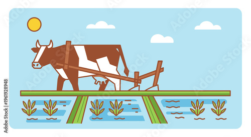 Brown and white cow plowing field.