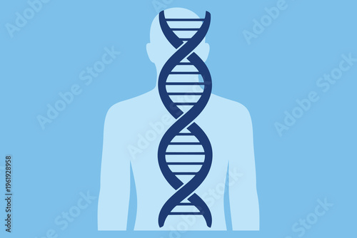 A conceptual illustration showing a dna double helix strand centered over a human body silhouette Vector