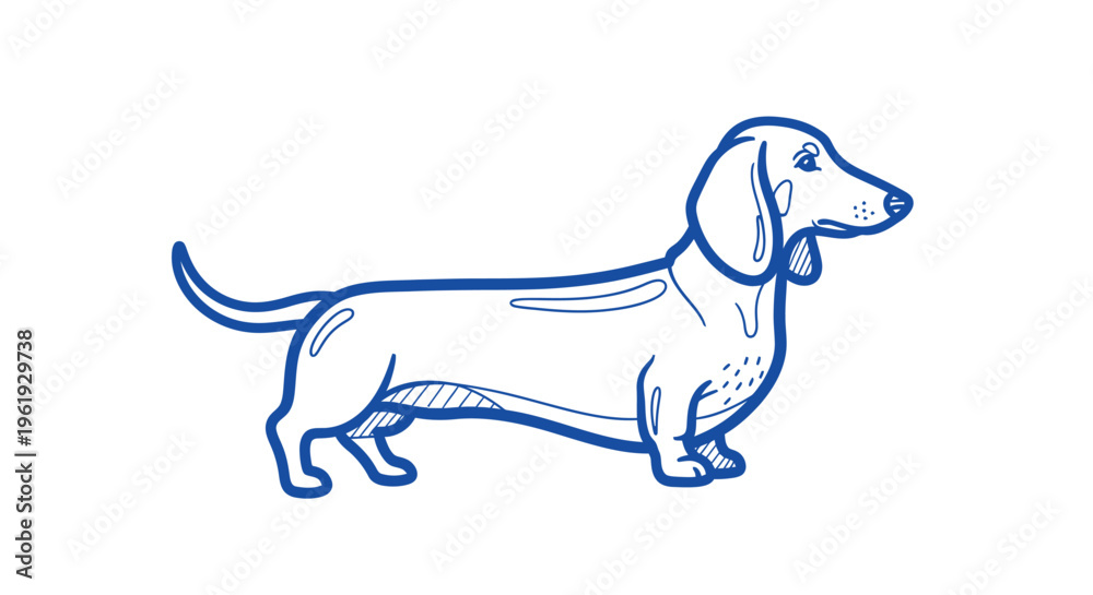Fototapeta premium A long-bodied Dachshund dog illustrated in minimalist doodle style, thick blue outline strokes with subtle artistic line details inside, smooth continuous curves, clean vector illustration, modern fla