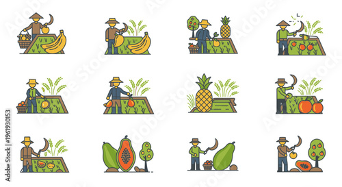 Farmers harvesting various fruits and vegetables.