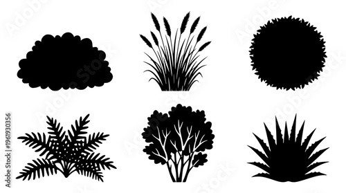 Various black silhouettes of plants and trees on white background