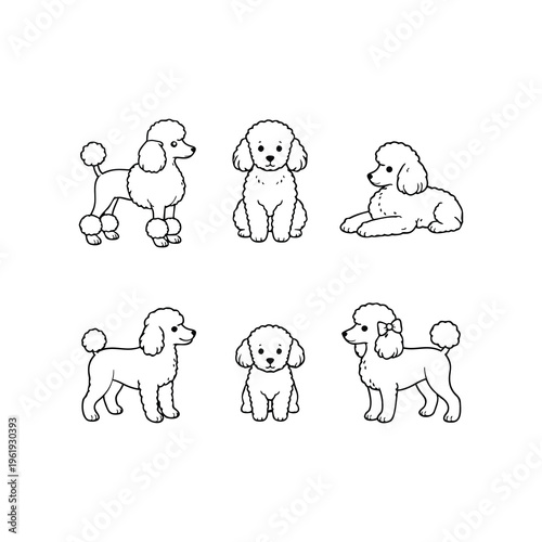 Poodle dogs set vector illustration