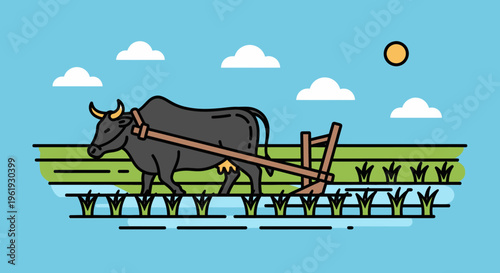 Gray bull with plow in field.