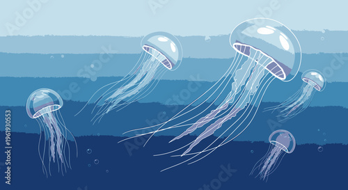 Group of jellyfish swimming underwater.