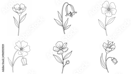 Set of 6 minimalist flower line art icons in diverse shapes and growth postures isolated on white