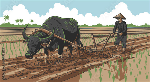 Man and buffalo plowing rice field.