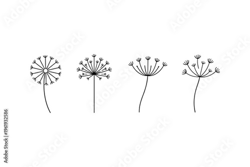 Minimalist line art illustrations of dandelion seed heads in various stages of bloom