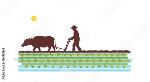 Man plowing field with oxen slowly 1.