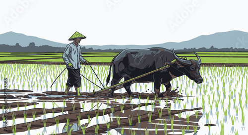 Man plowing rice field with oxen.