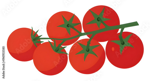 tomato, branch, tomatoes, vine, plant, food, vegetable, vegetables, fresh, organic, natural, healthy, nutrition, red, ripe, juicy, garden, farming, agriculture, farm, harvest, produce, ingredient, coo