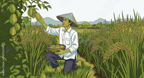 Man wearing a hat picking fruit.