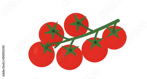 tomato, branch, tomatoes, vine, plant, food, vegetable, vegetables, fresh, organic, natural, healthy, nutrition, red, ripe, juicy, garden, farming, agriculture, farm, harvest, produce, ingredient, coo